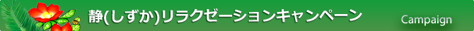 人気コース